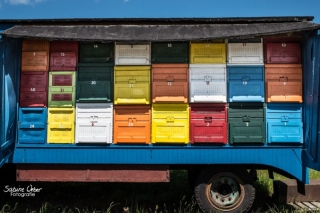 BIN_0092