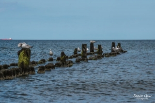 BIN_0103