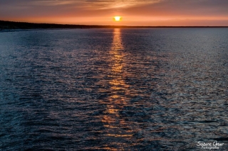 BIN_0119