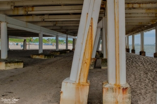 BIN_0239