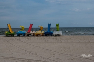 BIN_0259