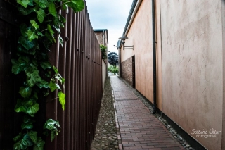 BIN_0274