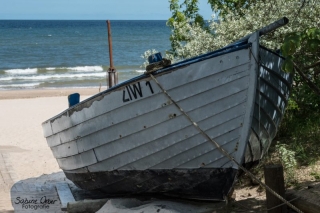 BIN_0353
