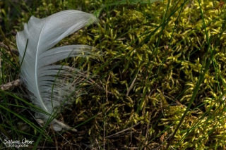 BIN_0373